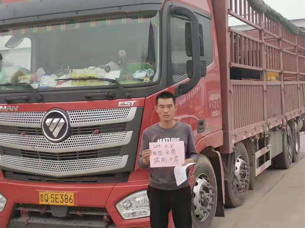 草莓视频IOS在线看客户发货案例